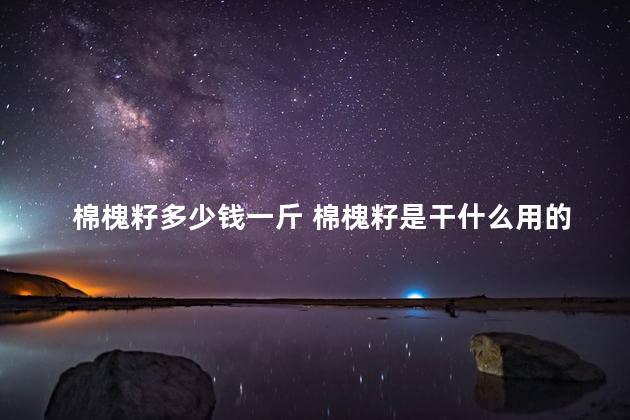 棉槐籽多少钱一斤 棉槐籽是干什么用的